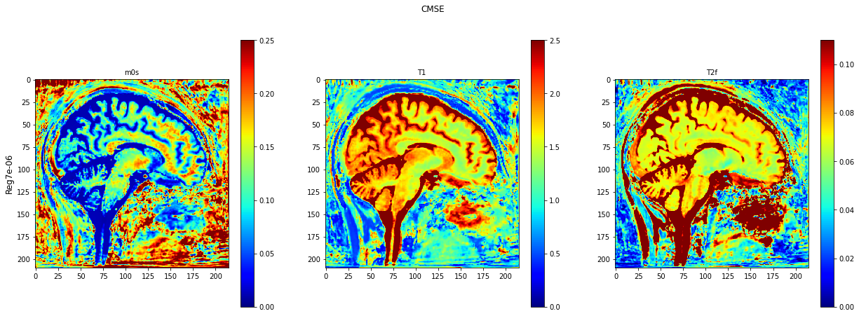 ../../../../_images/tutorials_notebooks_test_data_plot_TMI_paper_plot_testing_invivo_9_0.png